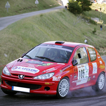 Vitre arrière latérale Makrolon Peugeot 206