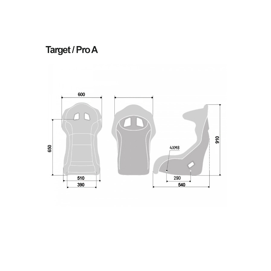 Baquet XtremR FIA ProA 