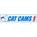 CAT CAMS